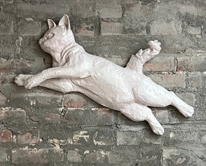 Fat Cat relief