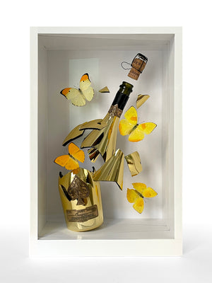 Armand de BRIGNAC
