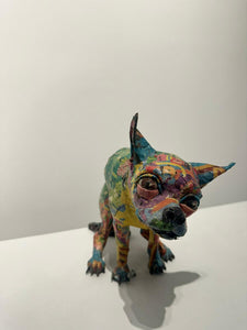 Chihuahua II