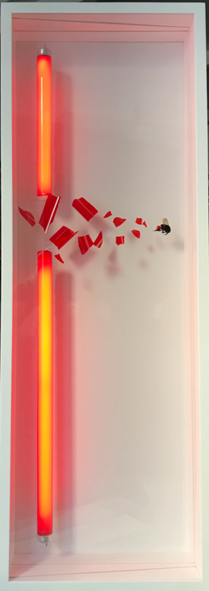 Descriptive image text