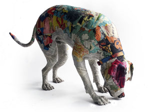 Descriptive image text