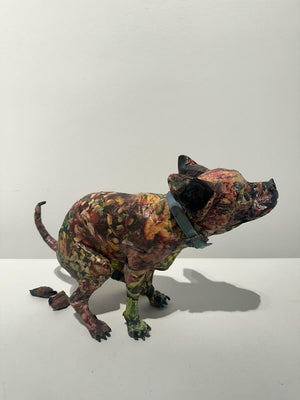 Descriptive image text