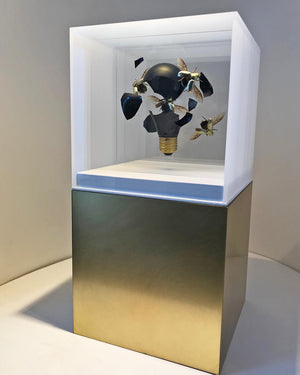 Descriptive image text