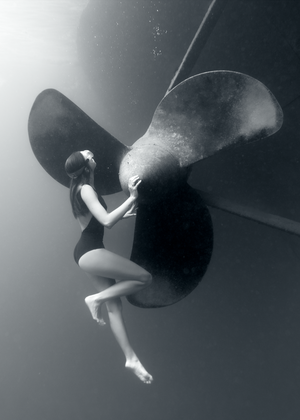 Descriptive image text