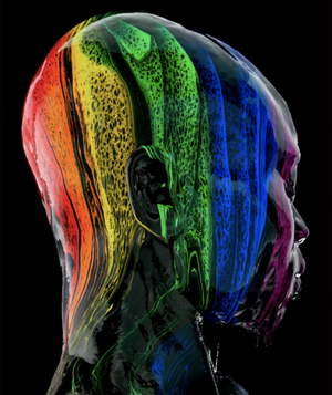 Descriptive image text