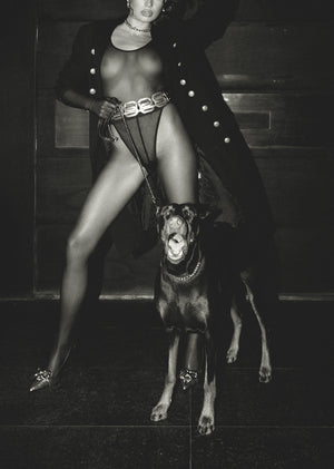 Descriptive image text