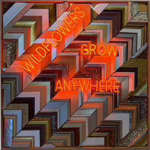 Wildflowers Grow Anywhere