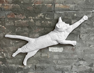 Stretching Cat