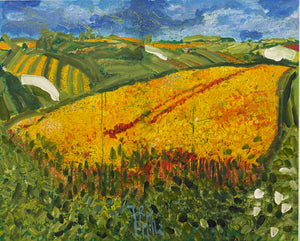 Corn Fields